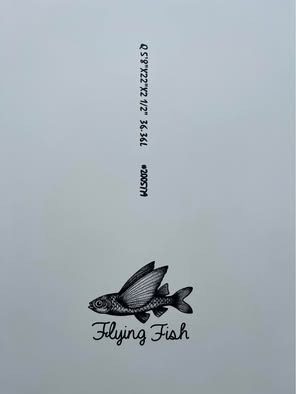 5’8 AQSS Flying Fish