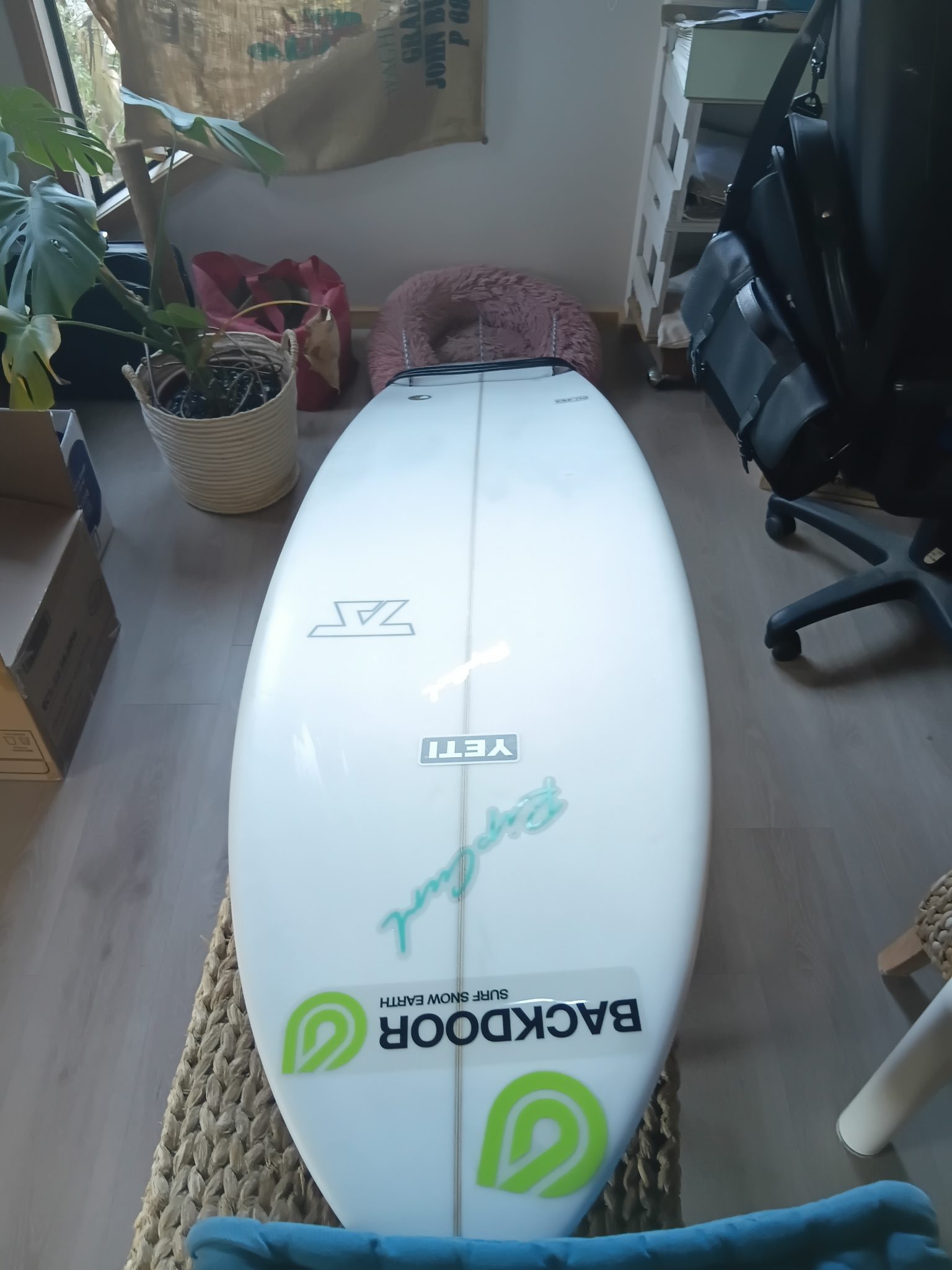 Global Surf Industries